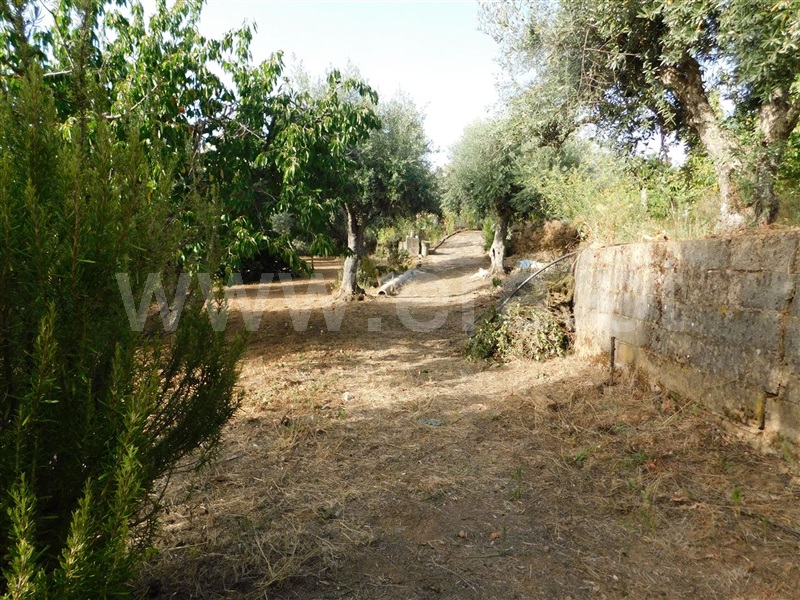 Quintinha  Fundão, Souto da Casa - 1348422 - 11