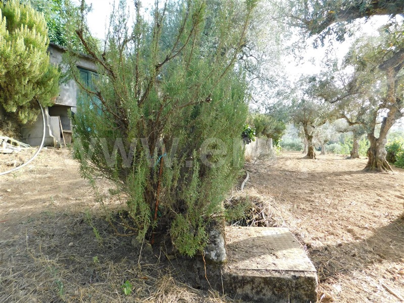 Quintinha  Fundão, Souto da Casa - 1348422 - 12