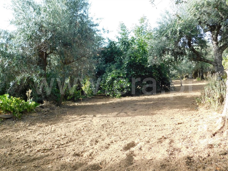 Quintinha  Fundão, Souto da Casa - 1348422 - 15