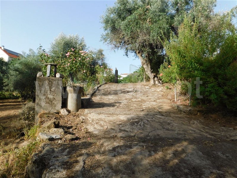 Quintinha  Fundão, Souto da Casa - 1348422 - 16