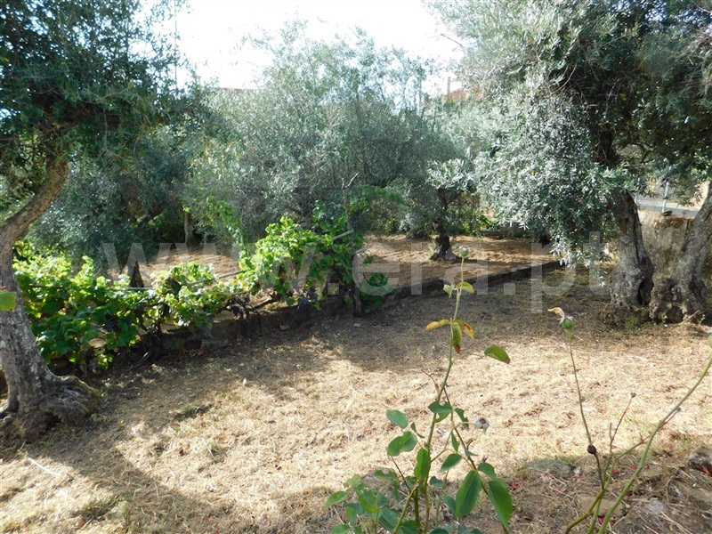 Quintinha  Fundão, Souto da Casa - 1348422 - 20