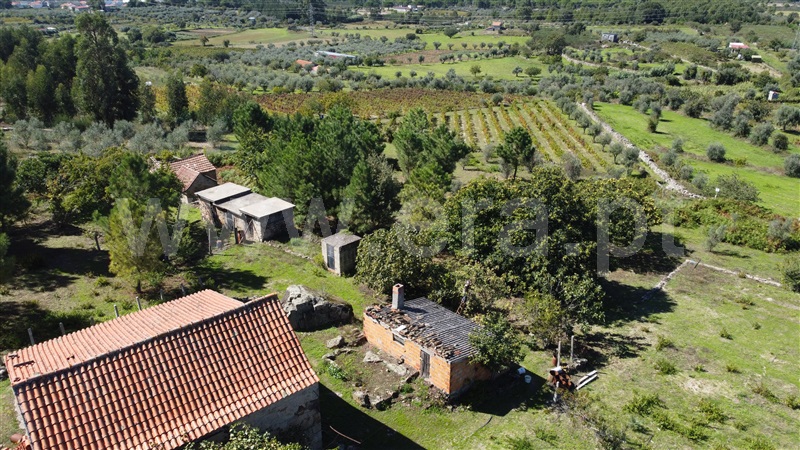Quintinha  Gouveia, Paços da Serra - 1357764 - 4