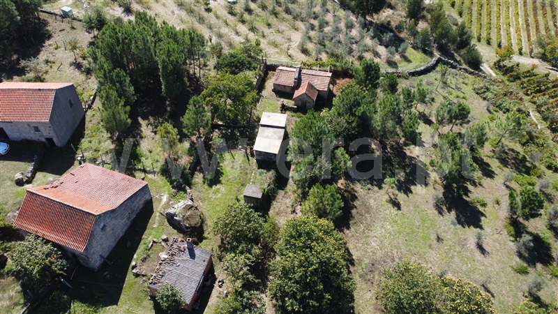 Quintinha  Gouveia, Paços da Serra - 1357764 - 21