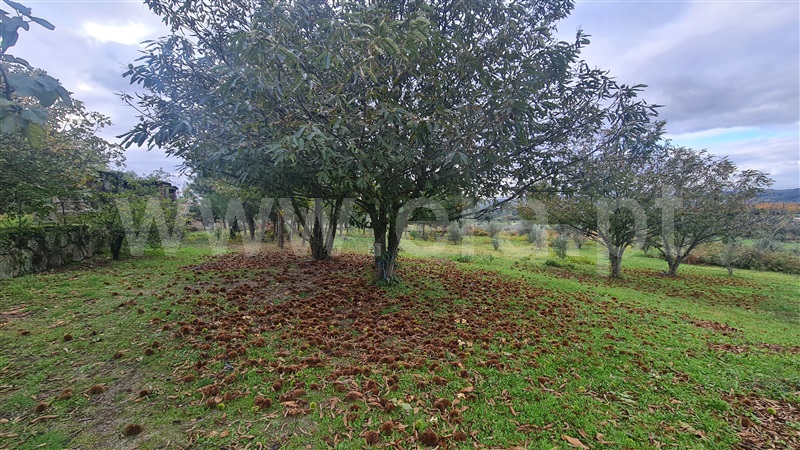 Quintinha  Gouveia, Paços da Serra - 1357764 - 42