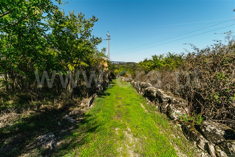 Quintinha  Gouveia, Ribamondego - 1352005 - 11