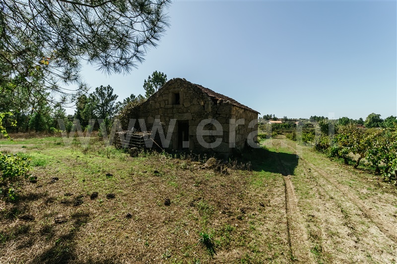 Quintinha  Gouveia, Ribamondego - 1352005 - 19