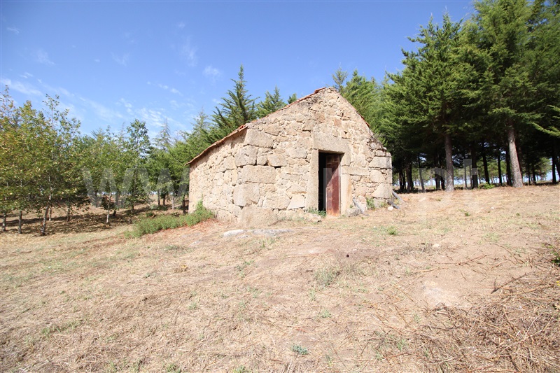 Quintinha  Gouveia, - 1351432 - 20