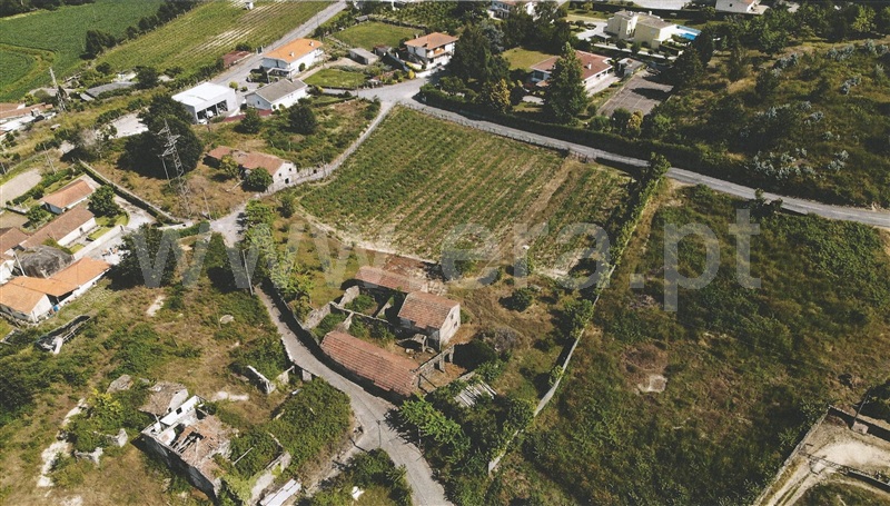 Quintinha / Guimarães, Ronfe