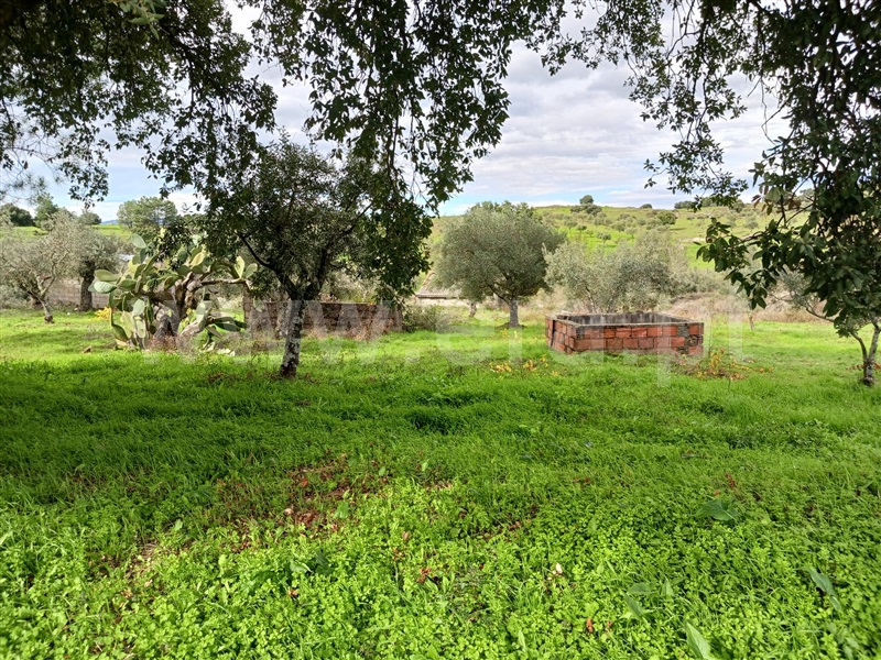 Quintinha / Idanha-a-Nova, Aldeia de Santa Margarida