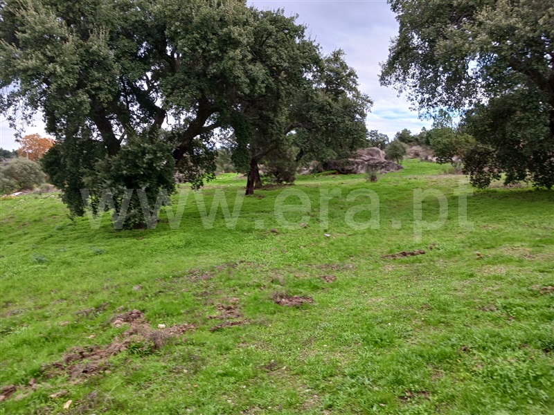 Quintinha  Idanha-a-Nova, Aldeia de Santa Margarida - 1444549 - 4