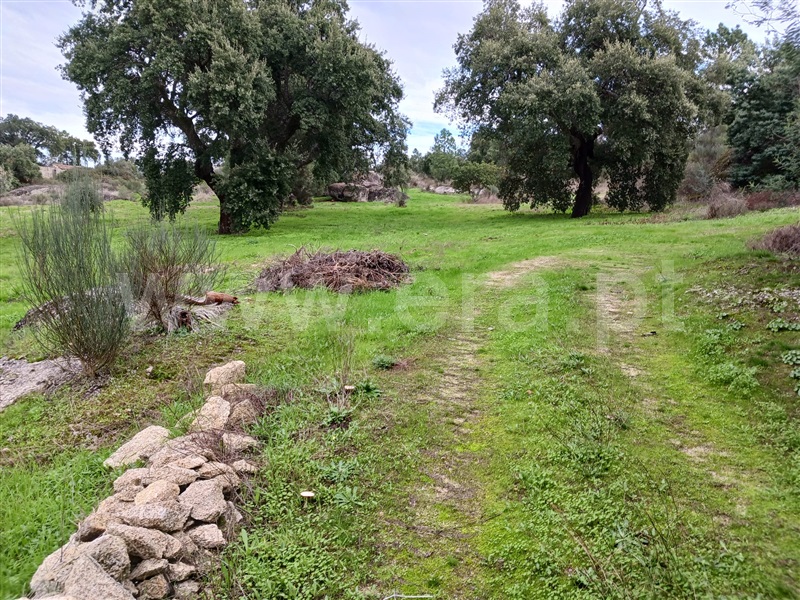 Quintinha  Idanha-a-Nova, Aldeia de Santa Margarida - 1444549 - 5