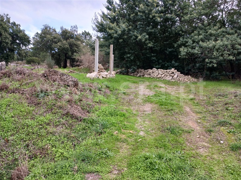 Quintinha  Idanha-a-Nova, Aldeia de Santa Margarida - 1444549 - 7