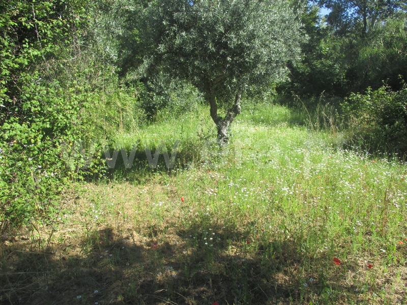 Quintinha  Idanha-a-Nova, Ladoeiro - 1097235 - 7