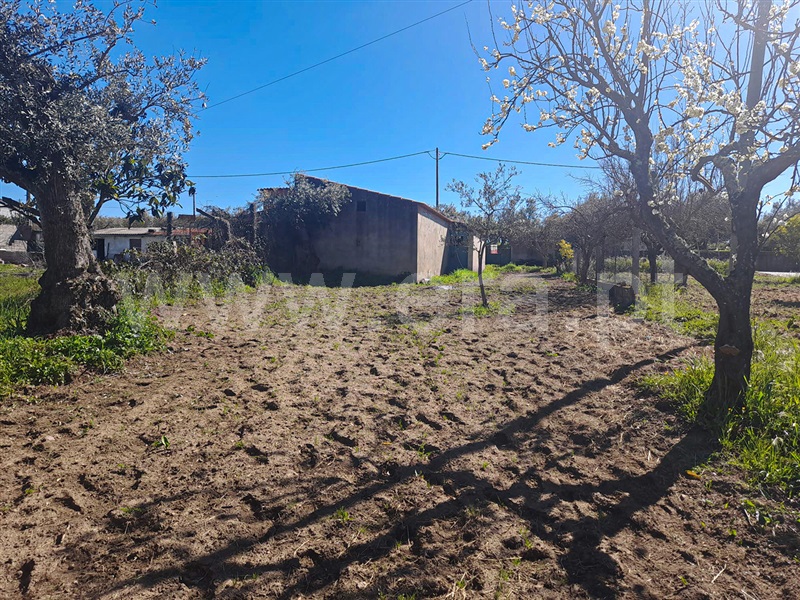 Quintinha  Idanha-a-Nova, Ladoeiro - 1353893 - 1