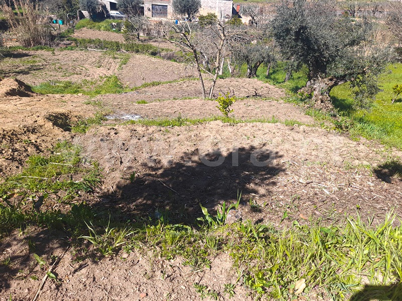 Quintinha  Idanha-a-Nova, Ladoeiro - 1353893 - 7
