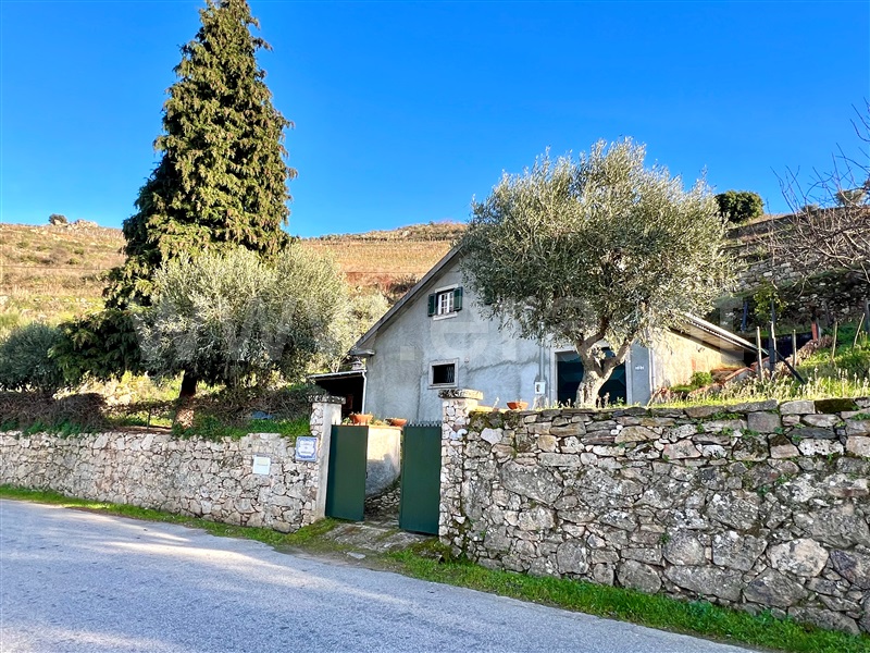 Moradia Isolada T3 Lamego, Parada do Bispo e Valdigem - 1454178 - 22