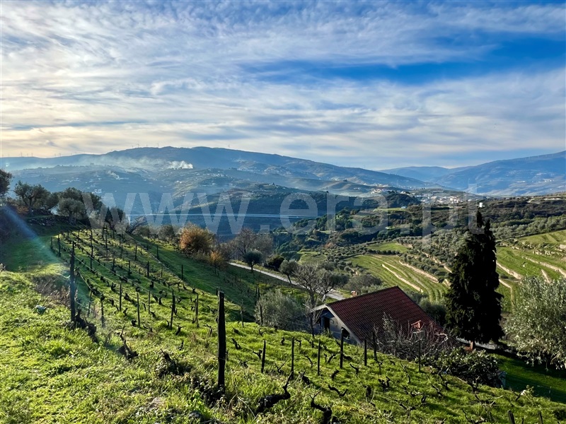 Moradia Isolada T3 Lamego, Parada do Bispo e Valdigem - 1454178 - 28