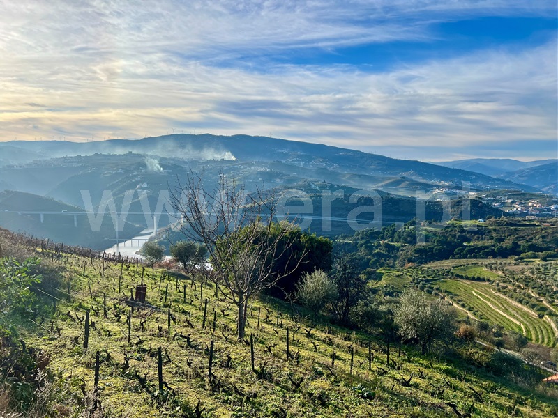 Moradia Isolada T3 Lamego, Parada do Bispo e Valdigem - 1454178 - 31