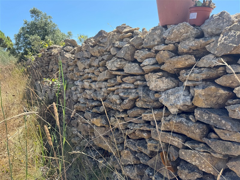Quintinha  Mafra, Igreja Nova e Cheleiros - 1492885 - 34