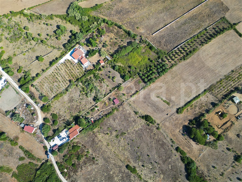 Quintinha  com Agrícola Mafra, Igreja Nova, Mafra - 1492885 - 50