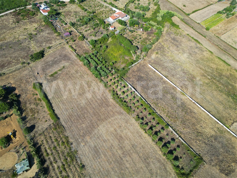 Quintinha  com Agrícola Mafra, Igreja Nova, Mafra - 1492885 - 51
