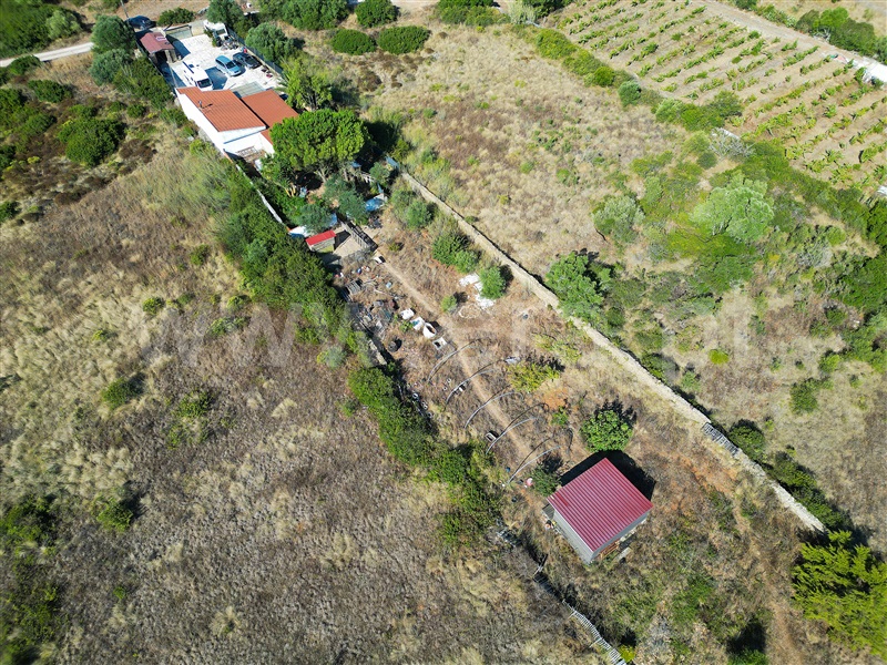 Quintinha  com Agrícola Mafra, Igreja Nova, Mafra - 1492885 - 52