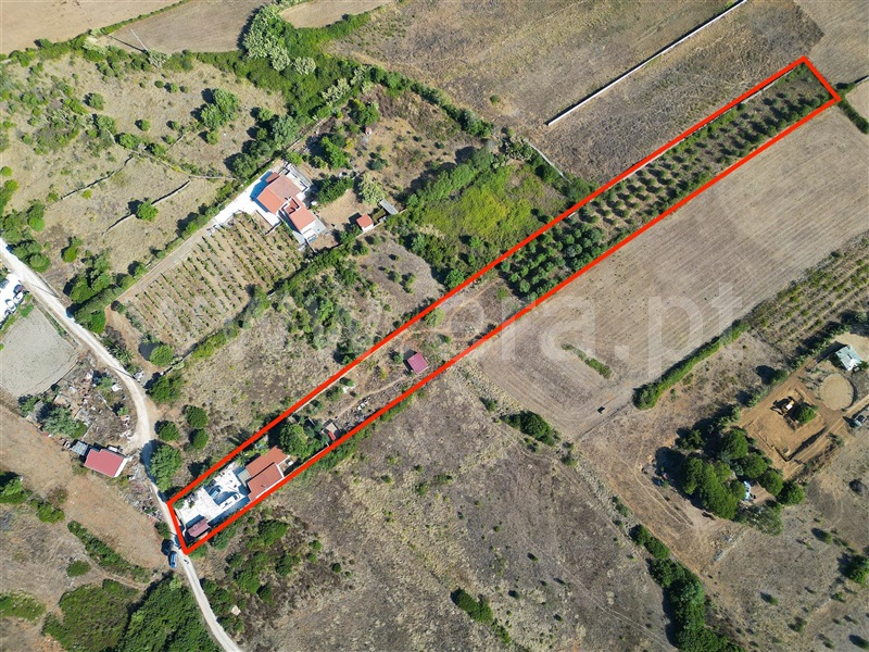 Quintinha  com Agrícola Mafra, Igreja Nova, Mafra - 1492885 - 46