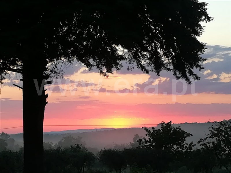 Quintinha / Mangualde, Abrunhosa-a-Velha