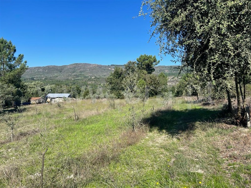 Quintinha / Mangualde, Abrunhosa-a-Velha