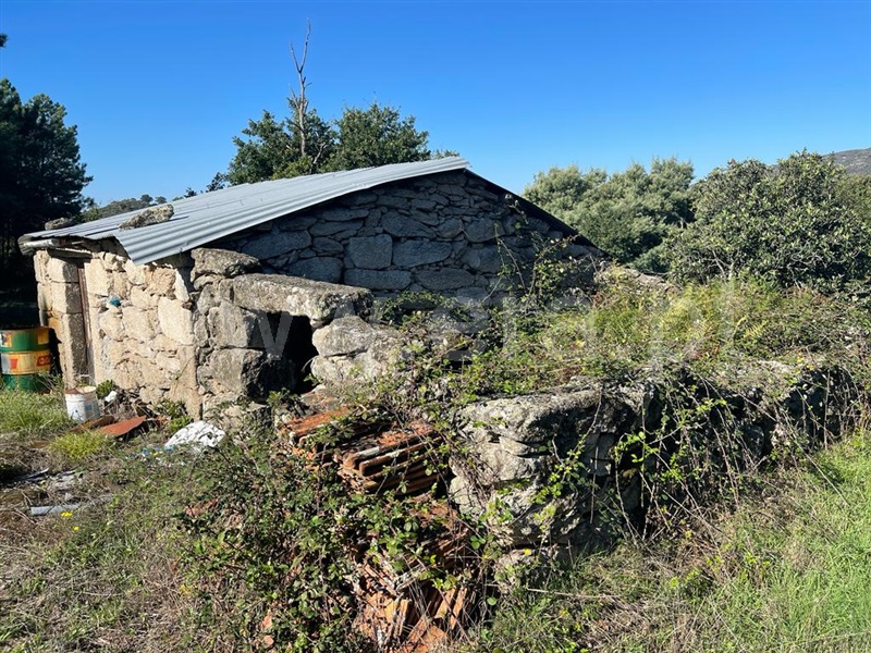 Quintinha  Mangualde, Abrunhosa-a-Velha - 1358256 - 14
