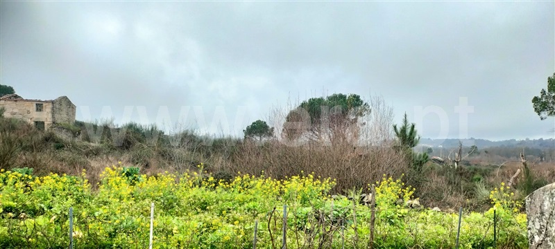 Terreno  Mangualde, Cunha Baixa - 1456575 - 2