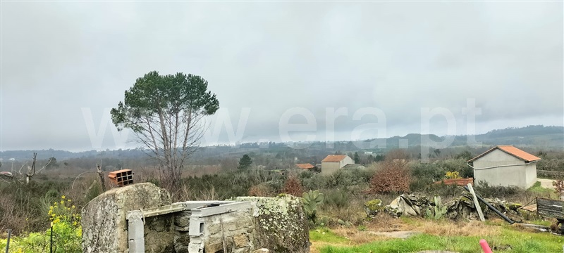 Terreno  Mangualde, Cunha Baixa - 1456575 - 3