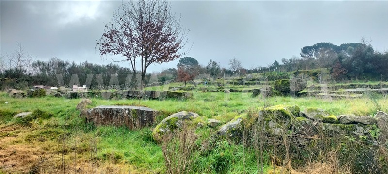 Terreno  Mangualde, Cunha Baixa - 1456575 - 5