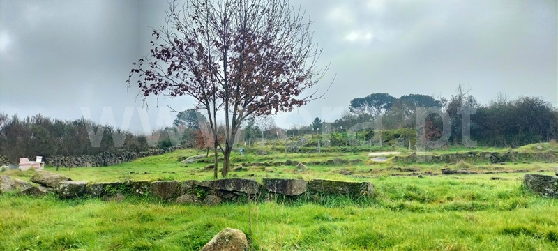 Terreno  Mangualde, Cunha Baixa - 1456575 - 6