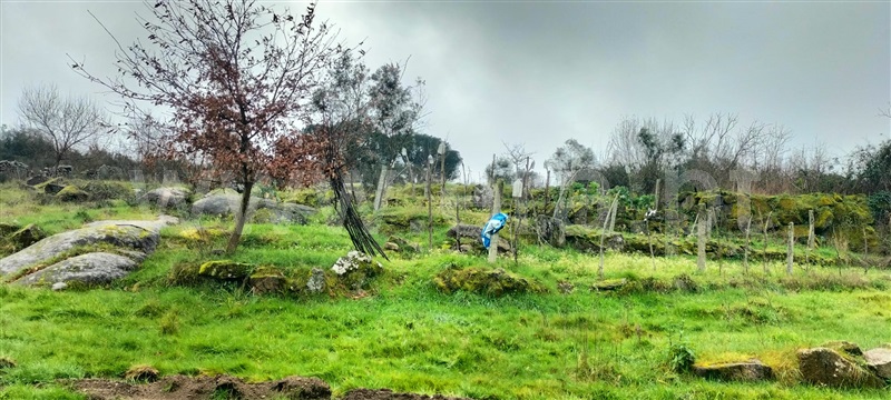 Terreno  Mangualde, Cunha Baixa - 1456575 - 7