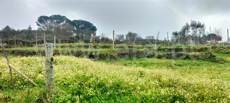 Terreno  Mangualde, Cunha Baixa - 1456575 - 8