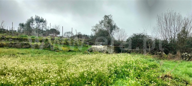 Terreno  Mangualde, Cunha Baixa - 1456575 - 9