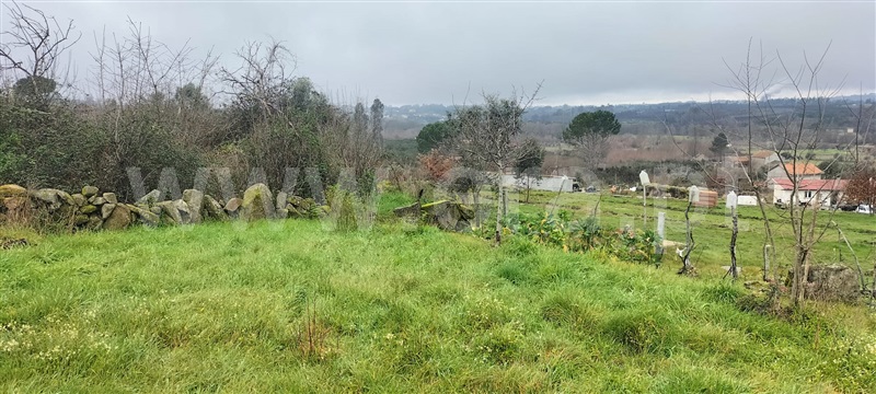 Terreno  Mangualde, Cunha Baixa - 1456575 - 12