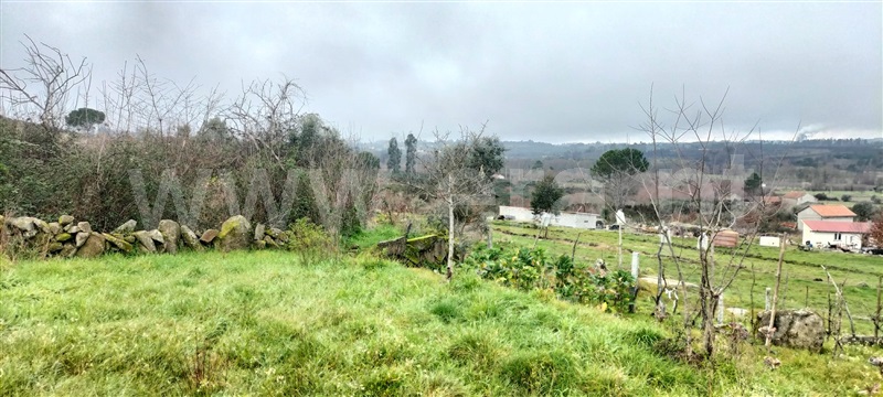 Terreno  Mangualde, Cunha Baixa - 1456575 - 14