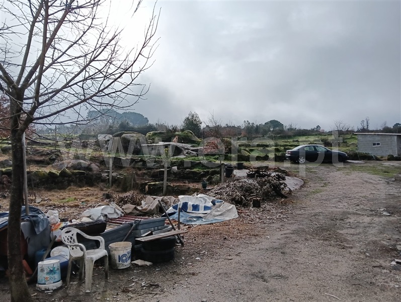 Terreno  com Rústico Mangualde, Cunha Baixa - 1456575 - 26