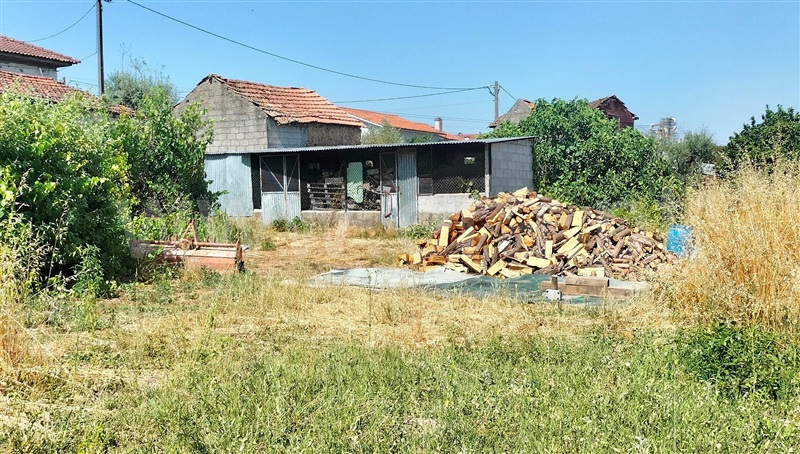 Quintinha / Mangualde, Espinho