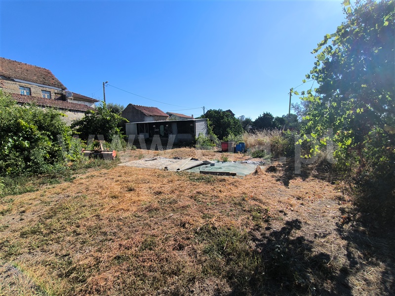 Quintinha  Mangualde, Espinho - 1491529 - 5
