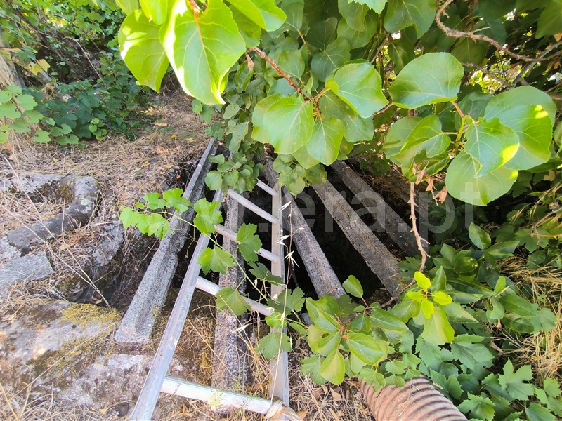 Quintinha  Mangualde, Espinho - 1491529 - 12