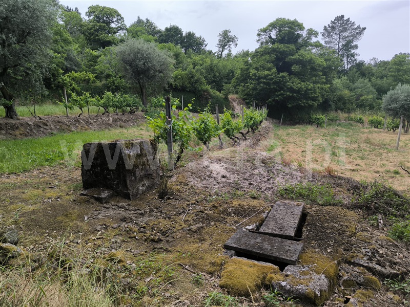 Herdade  Mangualde, Fornos de Maceira Dão - 1409121 - 4