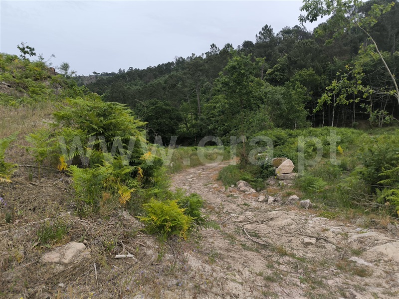 Herdade  Mangualde, Fornos de Maceira Dão - 1409121 - 5