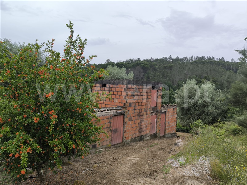 Herdade  Mangualde, Fornos de Maceira Dão - 1409121 - 6