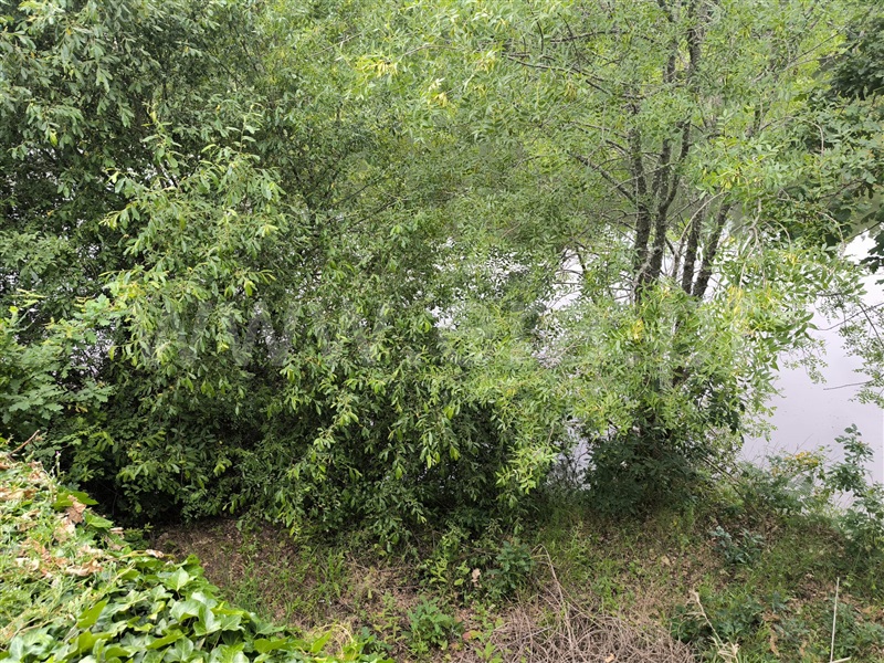 Herdade  Mangualde, Fornos de Maceira Dão - 1409121 - 14