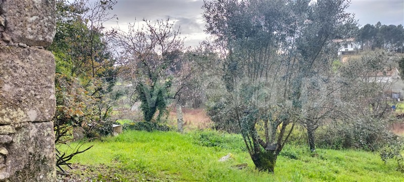 Quintinha / Mangualde, Santiago de Cassurrães e Póvoa de Cervães