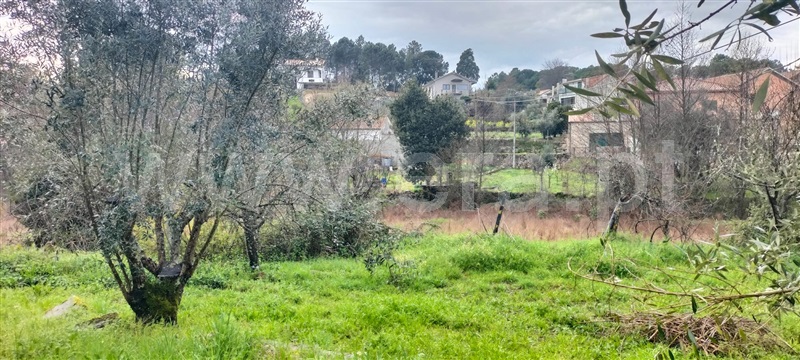 Quintinha  Mangualde, Santiago de Cassurrães e Póvoa de Cervães - 1482993 - 2