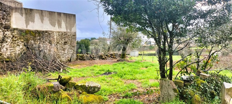 Quintinha  Mangualde, Santiago de Cassurrães e Póvoa de Cervães - 1482993 - 4